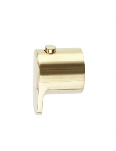 365000OC ORO CEPILLADO...