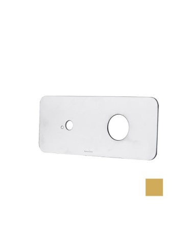KXB20 ORO CEPILLADO PLACA...