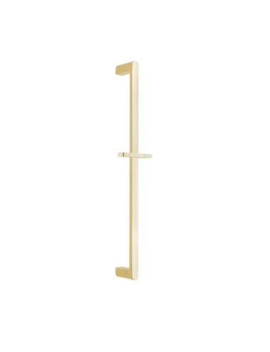 RSM776001 S ORO CEPILLADO...