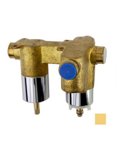 XX20CF ORO CEPILLADO LAV....