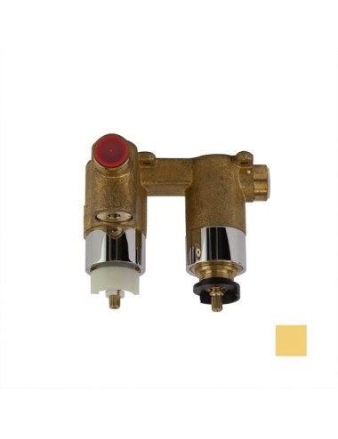 XX2411 ORO CEPILLADO TERMO....